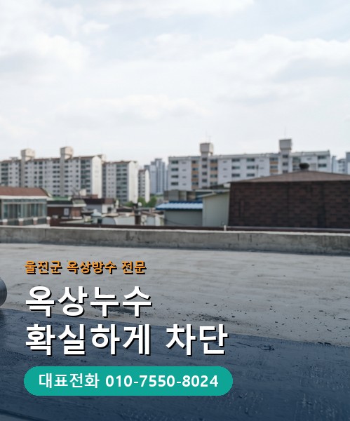 옥상방수 전문 시공업체 메인 비주얼